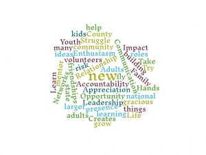 Rock County 4-H Strengths