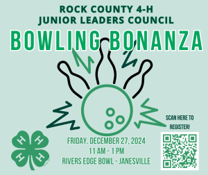 Bowling Bonanza 2024