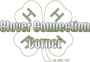 Clover Connection Title