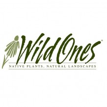 wild-ones-sq-logo-48365_218x218