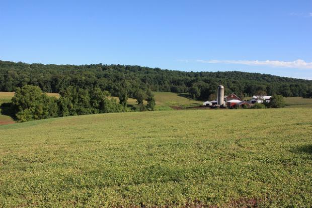 Rodale Enlists Cargill in Unlikely Alliance to Increase Organic Farmland