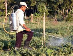 Common Pesticides Linked to Heart Disease Risks in New Study