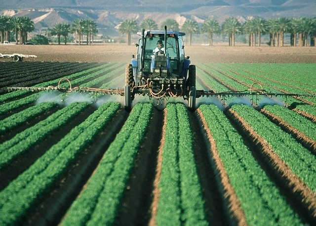 E.P.A. to Block Pesticide Tied to Neurological Harm in Children