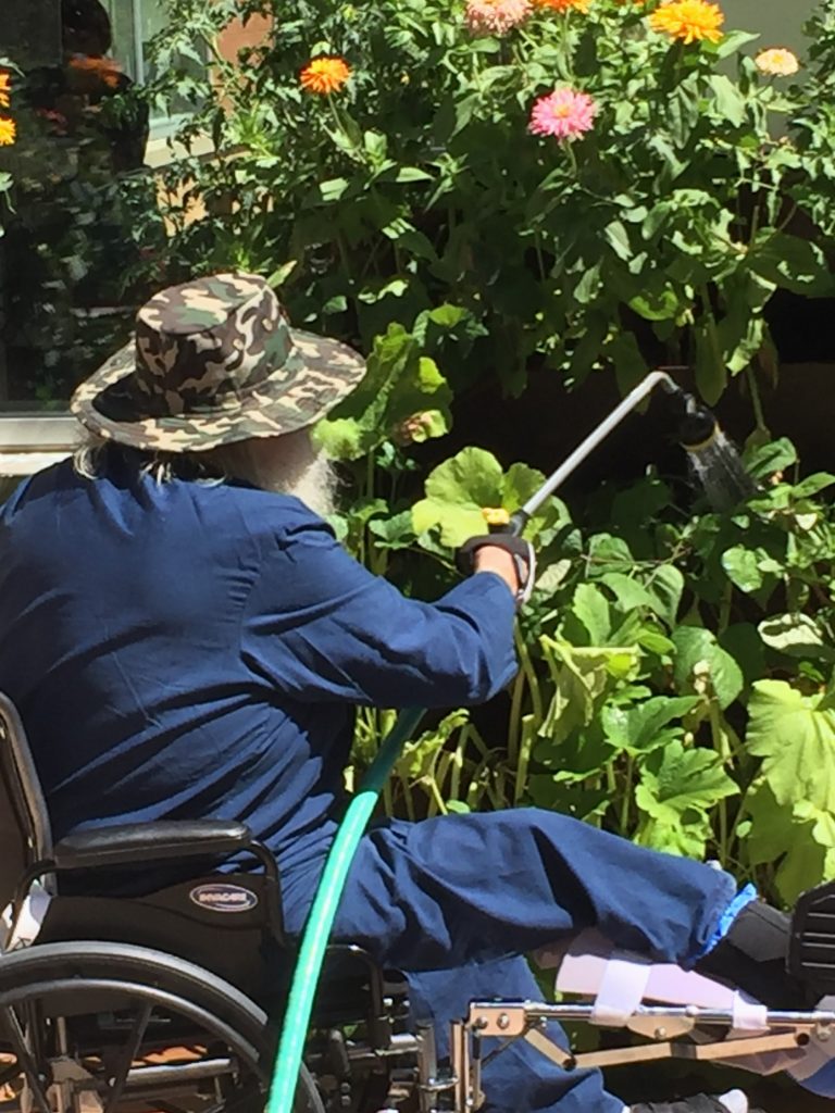 Image of man in wheelchair watering flowers