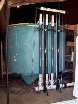 Air Lift Pump on 800 gallon recirculation fish tank