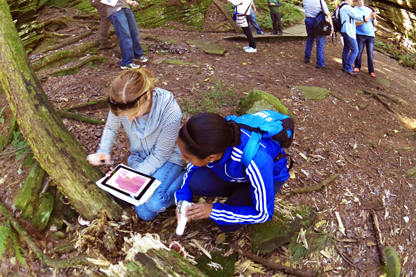 Adults using digital microscope outdoors