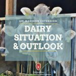 dairy situation and outlook with cow