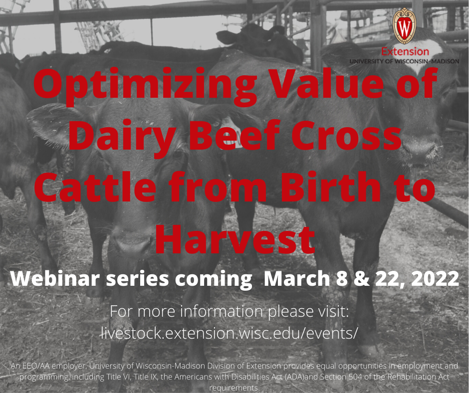 dairy beef cross meetings details
