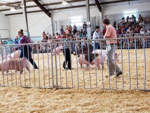 fond du lac county animal shelter