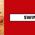 swine info
