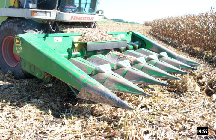 Corn Snaplage Harvest and Feeding – Team Forage