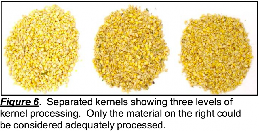 Making Sure Your Kernel Processor Is Doing Its Job – Team Forage