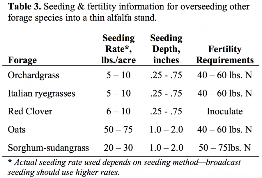 Planting Depth For Alfalfa Seed – QKFR