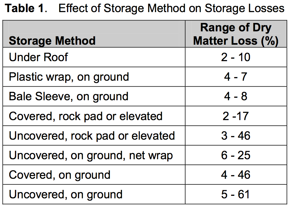 What Are Stock Options? - Forage