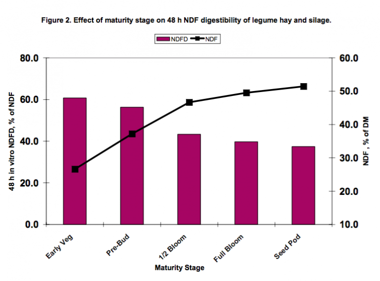 The Effect Of Maturity On Ndf Digestibility Team Forage 7234