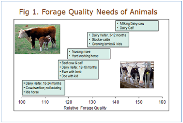 Comparison Of Relative Forage Quality RFQ ToRelative Feed Value RFV 
