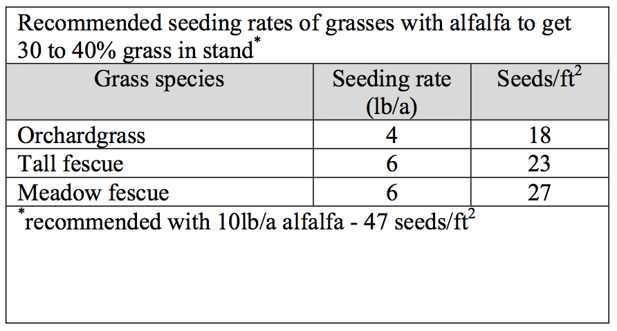 Grass Seed Germination Chart