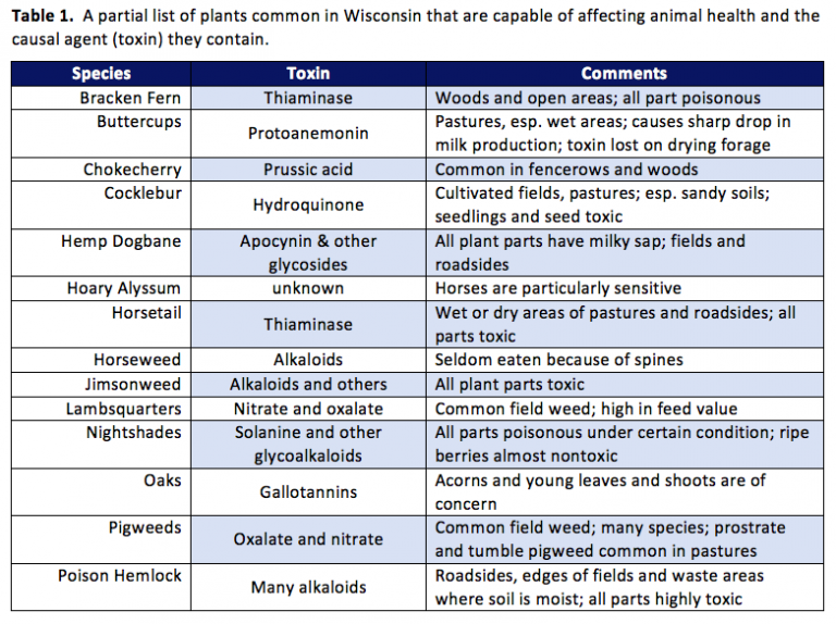 Do You Have Poisonous Weeds in Your Pastures and Forages? Team Forage