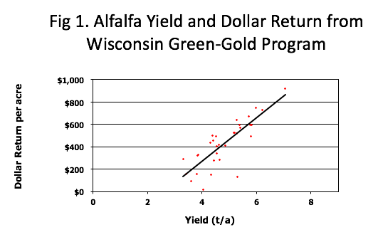 Alfalfa Yield and Stand Team Forage