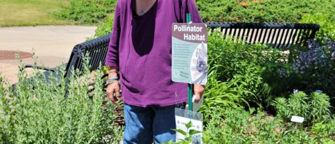 Practical Strategies to Protect Pollinators