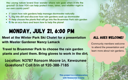 Bruemmer Park Rain Garden
