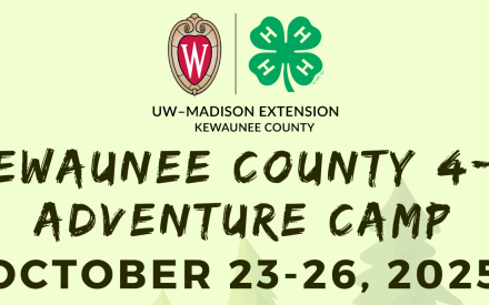 Adventure Camp at Trees for Tomorrow