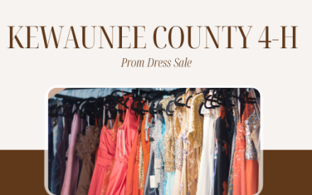 Kewaunee County 4-H Prom Dress Sale