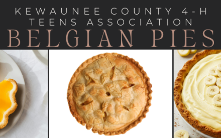 Home made Belgian Pies