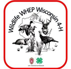 Art Contest: 4-H Wildlife & Forestry