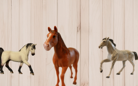 Kewaunee County 4-H Horse Project