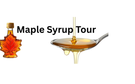 Maple Syrup Tour