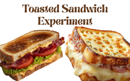 Toasted Sandwich