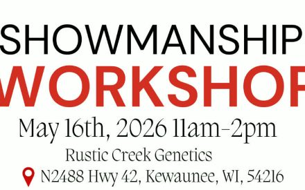Showmanship Workshop