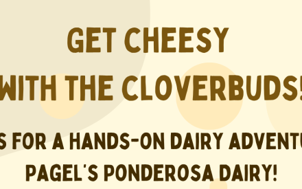 Get Cheesy with the Cloverbuds