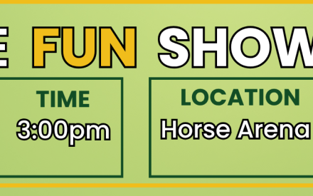 Horse Fun Show