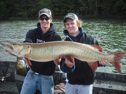 two people holding large fish