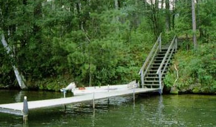 shoreline with foliage