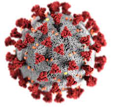 image of Covid-19 virus