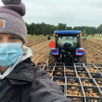 A woman wearing a protective face mask standing in front of a tractor that holds recently harvested potatoes.
