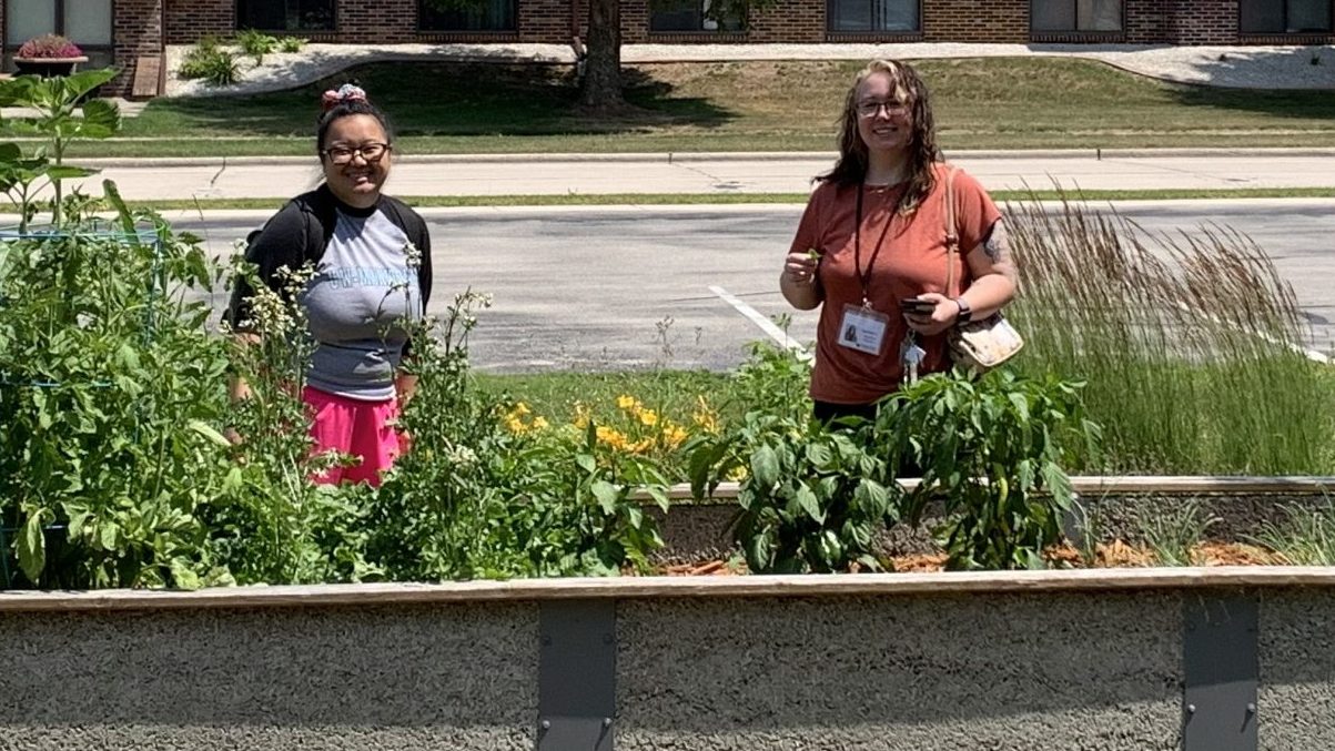 FoodWIse garden