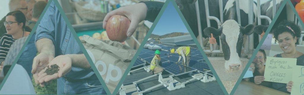 Collage of different types of cooperatives, including farm, solar energy, and healthcare.