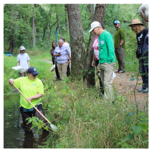 Group of people watch as a person with a long net takes samples along the bank of a stream