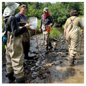 Four people in waders, stand in a rocky stream with nets and gear for measuring water quality