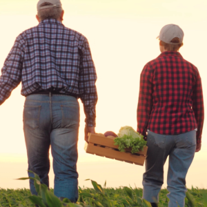 Man and young person carrying basket of vegetables