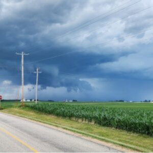 View from country road of corn field and dark story clouds above