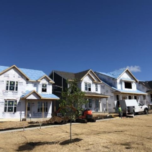 Row of newly built houses