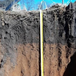 View of the soil in a large hole, showing the soil color changing half way down