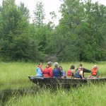 Boat trip to the Bad River-Kakagon wild rice beds (2)