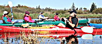 rsz_1rsz_1rsz_cat_teaching_paddle_the_pearls
