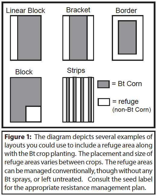 Several examples of refuge areas for the planting of BT corn.